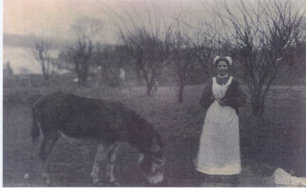 Copy of a photograph of Lizzie Stephens (nee Jones) She was housekeeper for 2 nurses living in Gareth Morgan's house on Butterhill. The nurses were funded by the Lawrenny Estate. This photograph was taken behind the house in what is now River View. The donkey carried shellfish to market.